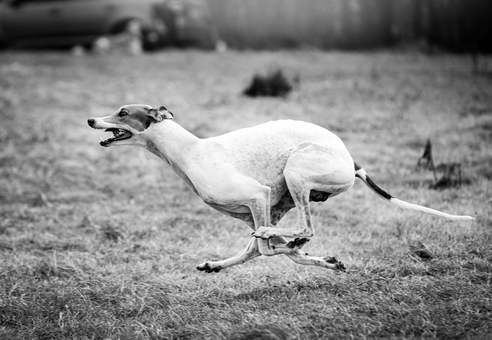 Photograph by Виолетта Бастет