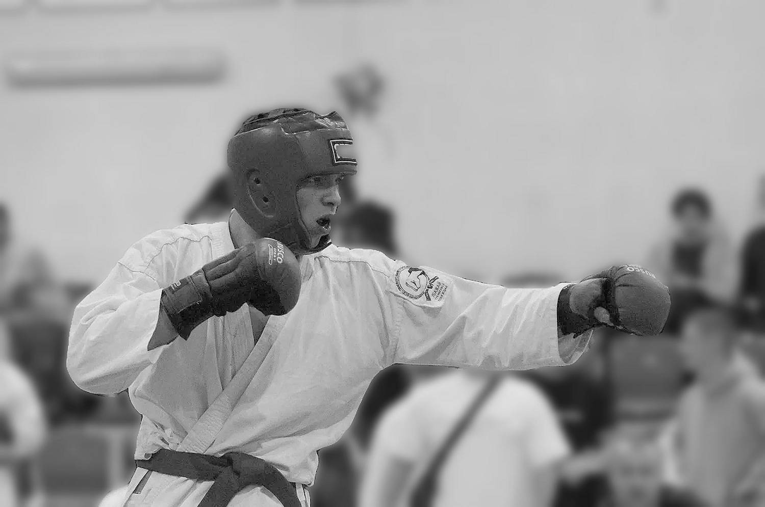 Photo #12825904