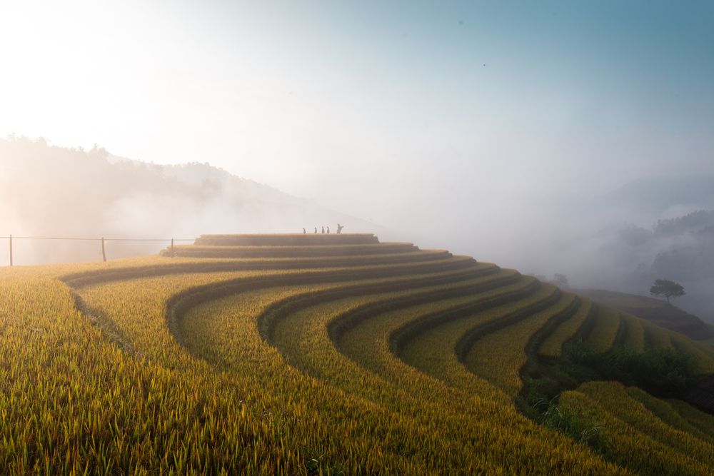 Photograph by Le Dinh Manh