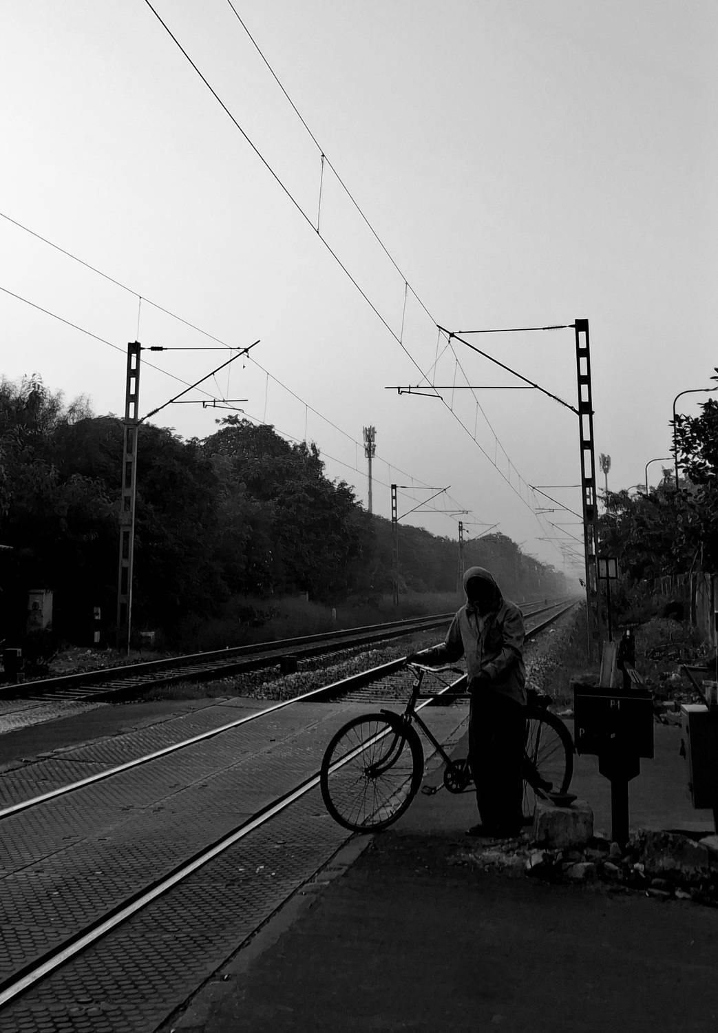 The bicycle man