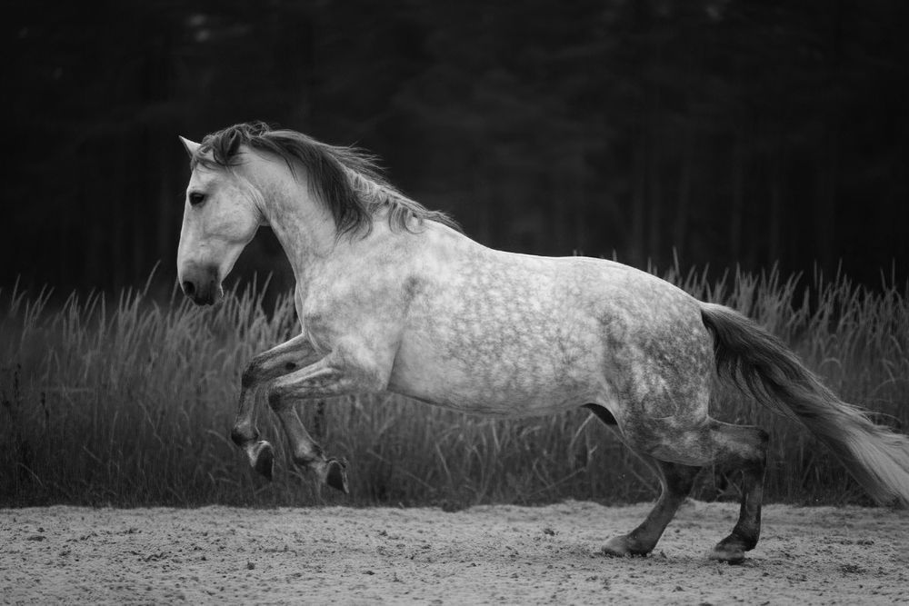 Фотография автора Онучина Юлия