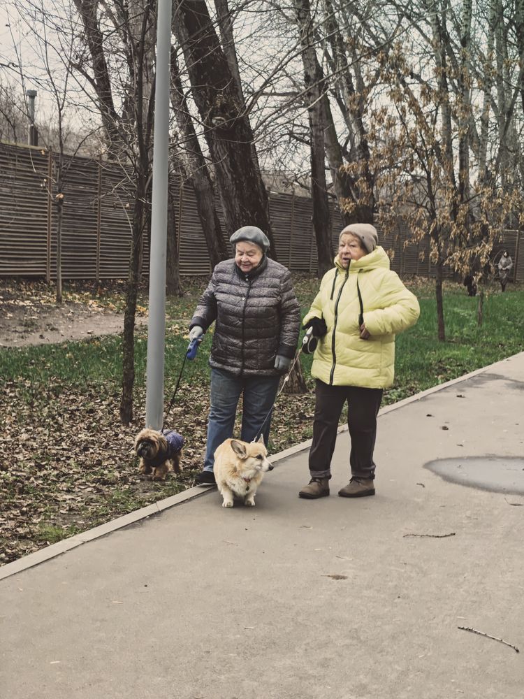 Фотография автора Андрей Пучков