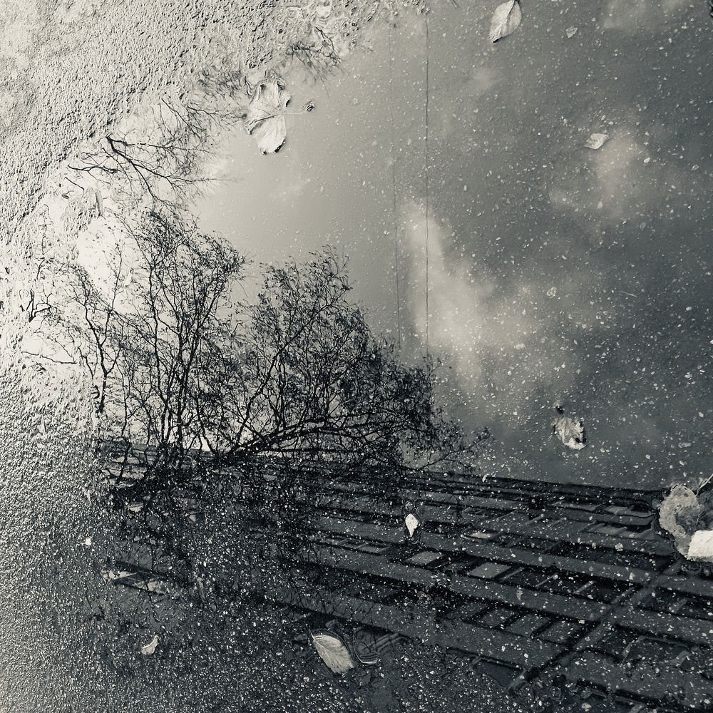Urban Mirror