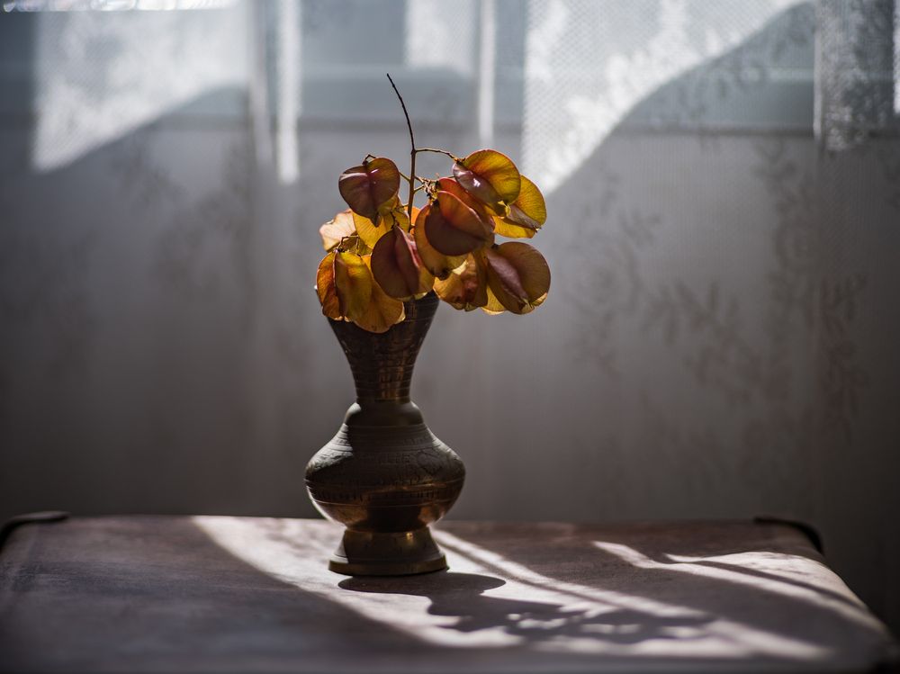 Photograph by David Solodar