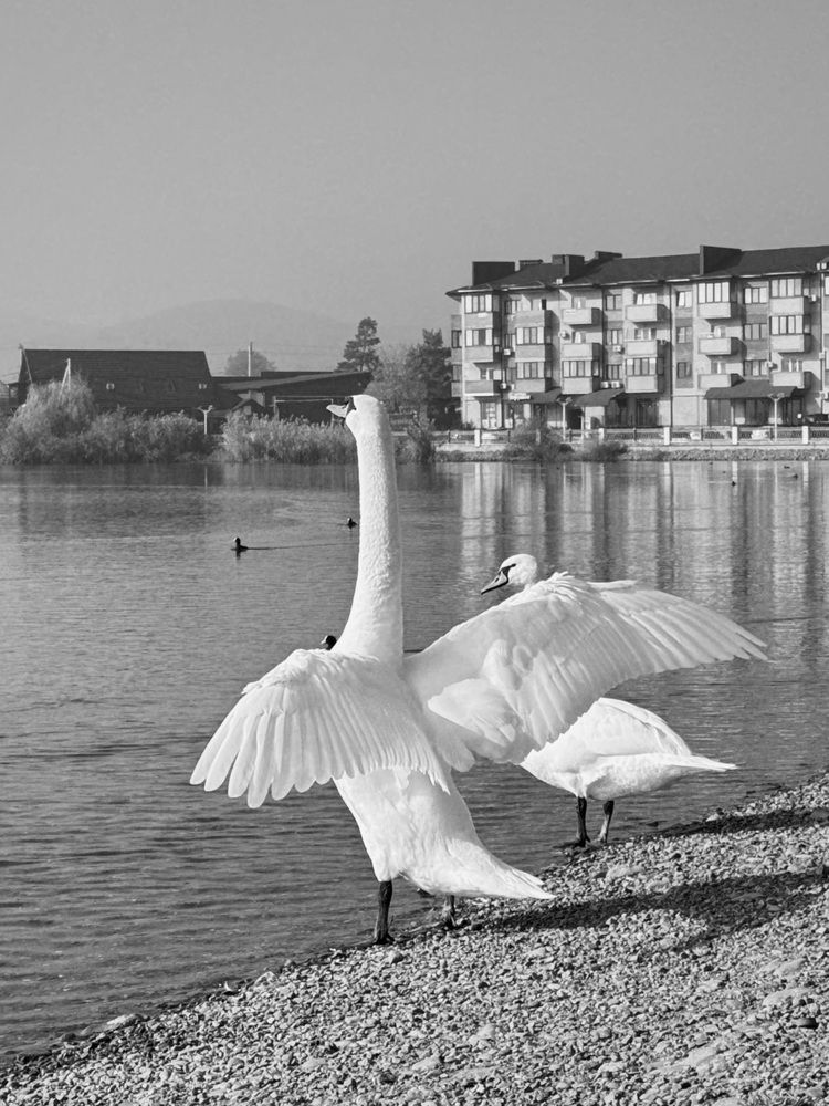 Photograph by Татьяна Семёнова