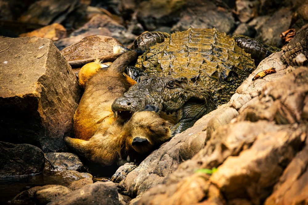 Photograph by MUKESH RAJAN S