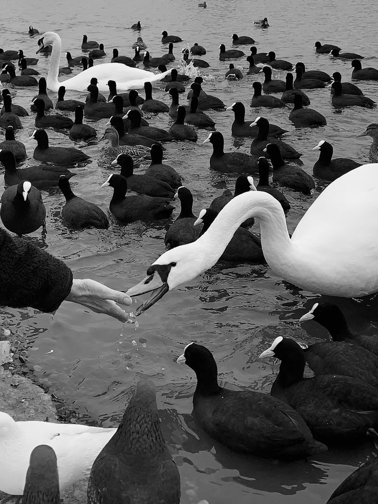 Photograph by Татьяна Семёнова