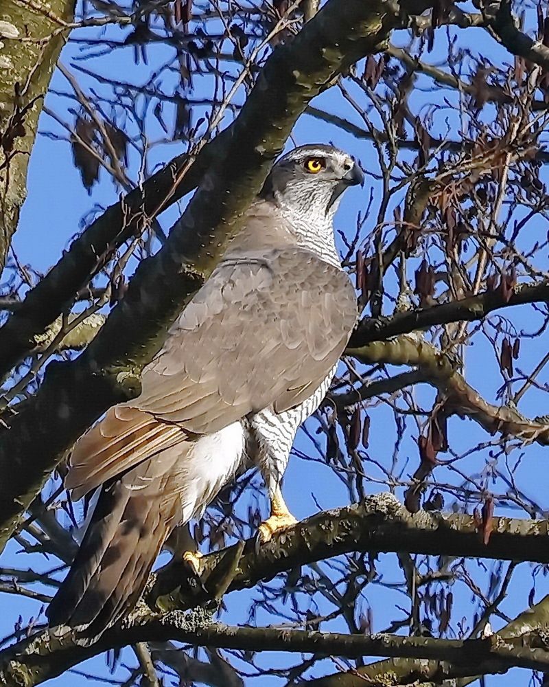 Photograph by Игорь Чеботарёв