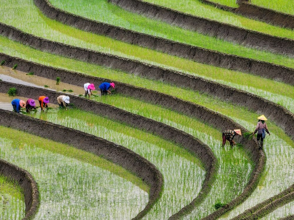 Photograph by Do Thi Thanh Binh