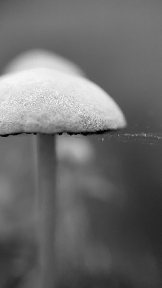 Photograph by Venu Peyyala