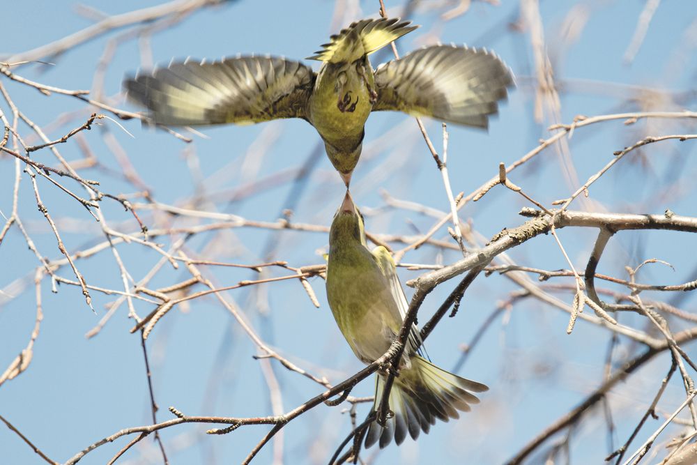 Photograph by Алексей Трубин