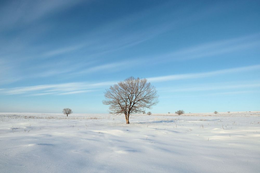 Photograph by Альберт Куулар