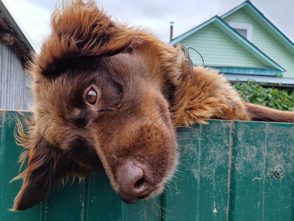 Photograph by Валентина