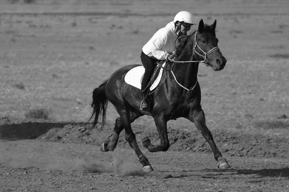 Photograph by Aleksey Maevskiy