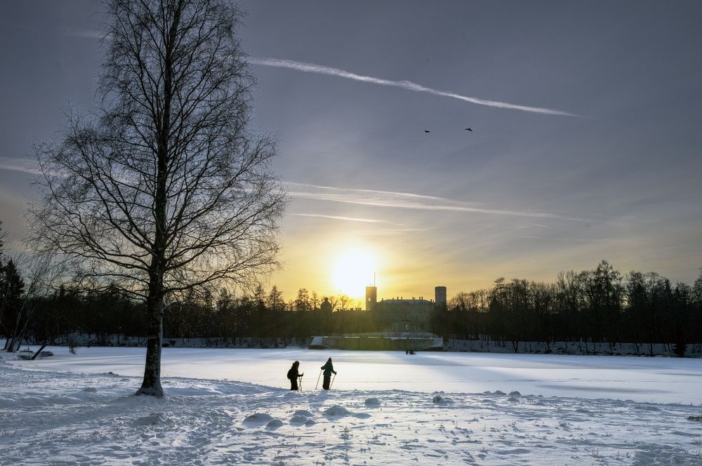 Зимний закат