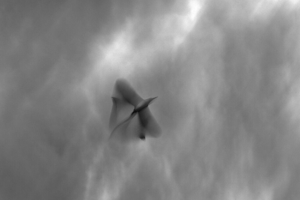 Photograph by shashiranjan prakash