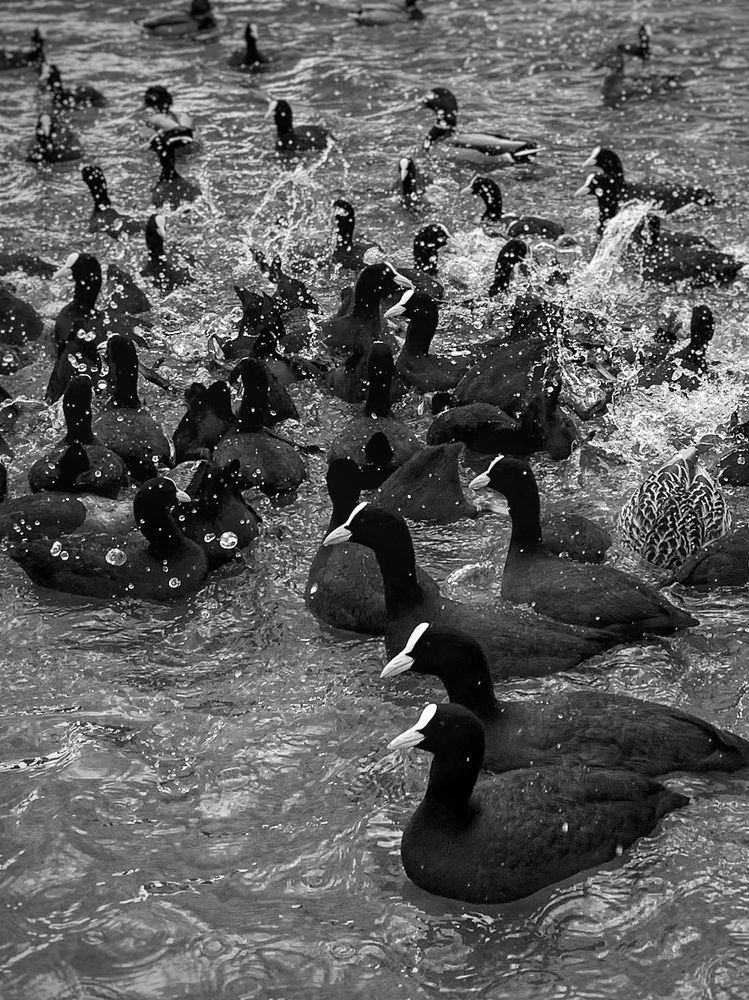 Photograph by Татьяна Семёнова