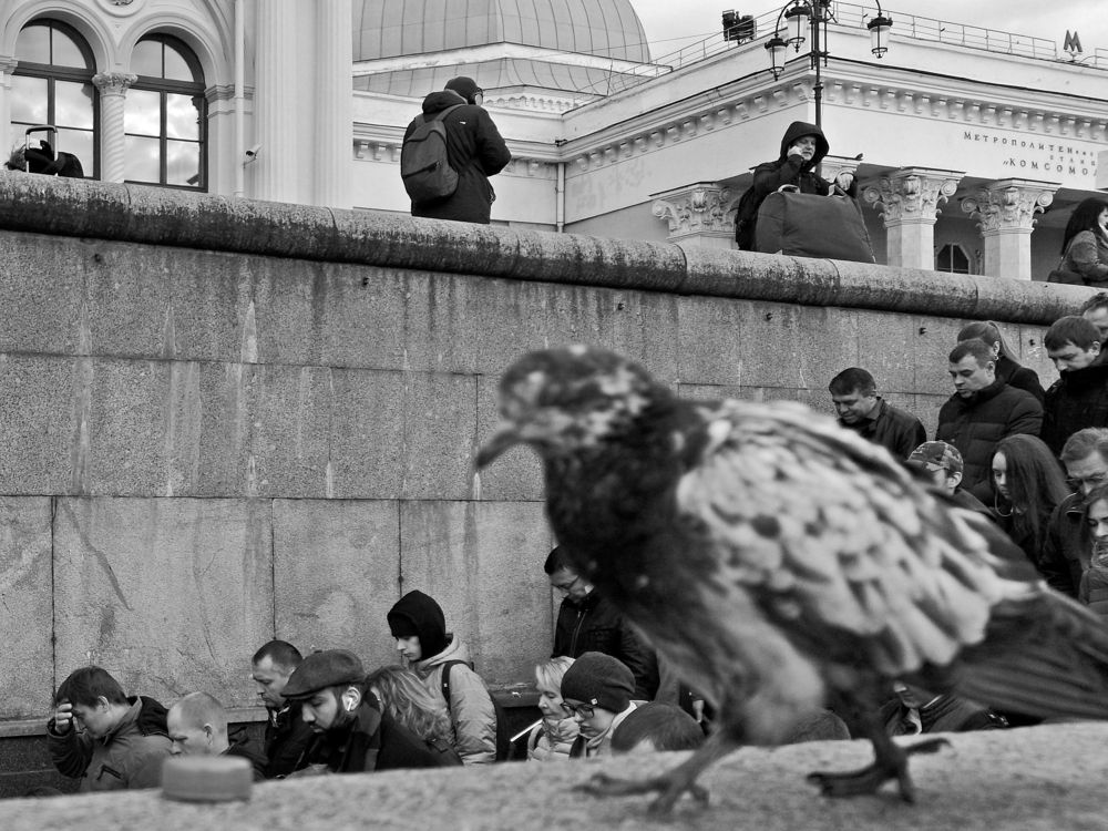 Photograph by Михаил Янкин