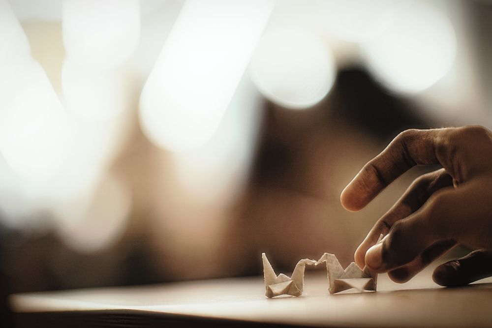 Photograph by Bragadeesh R