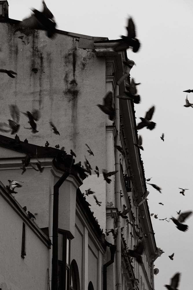 Фотография автора Мария Тюрина