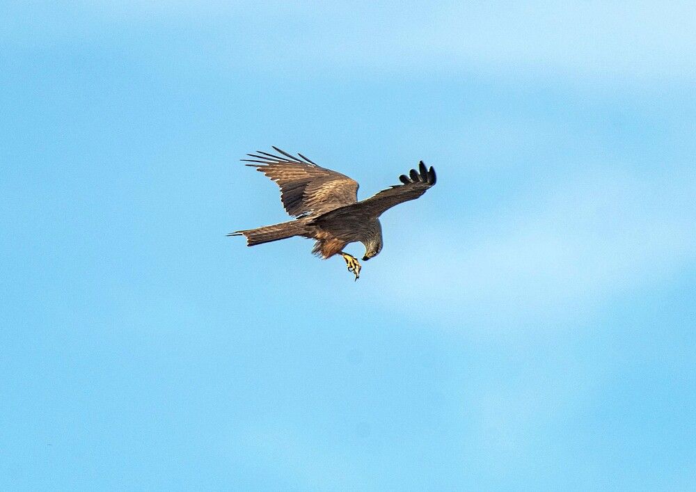 Photograph by Алексей Сиваков