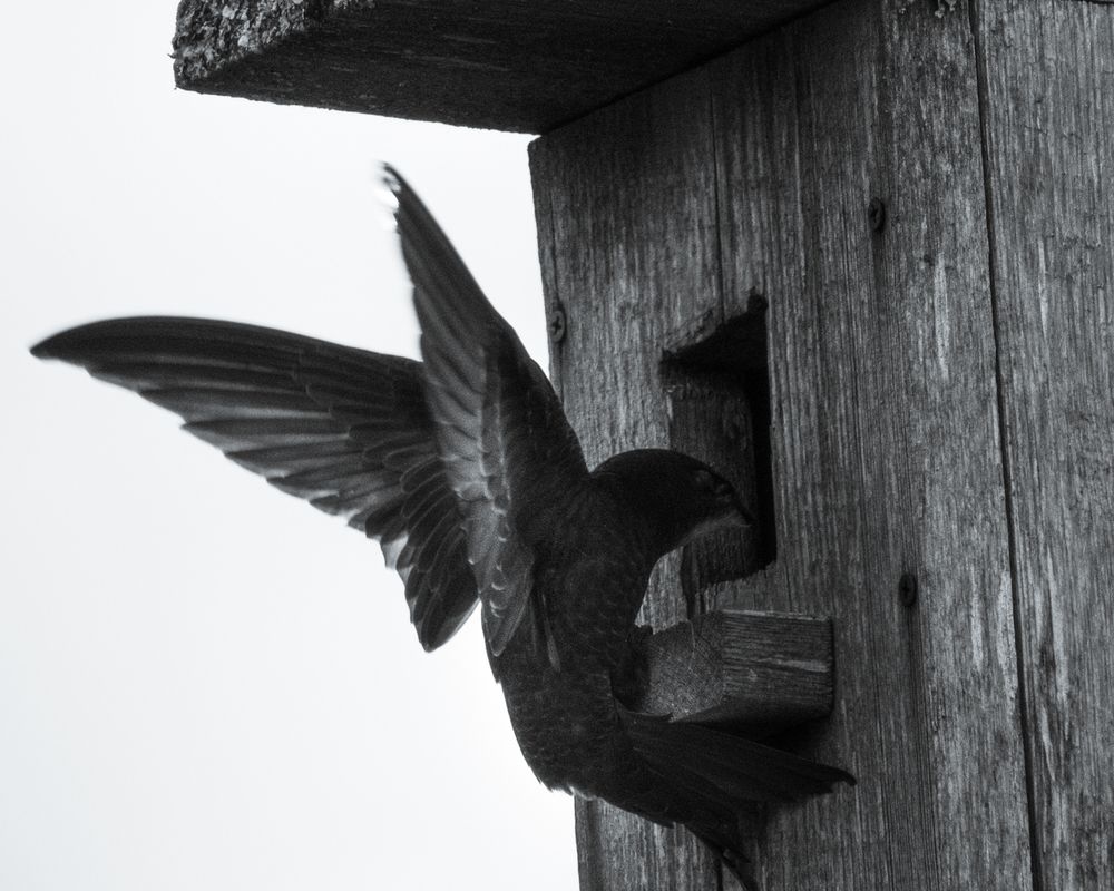 Photograph by Наталья Балабанова