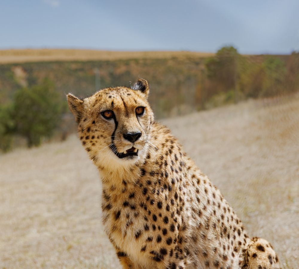 Photograph by Кирилл Мазазолин