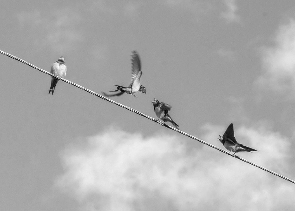 Фотография автора Борис Журавлёв