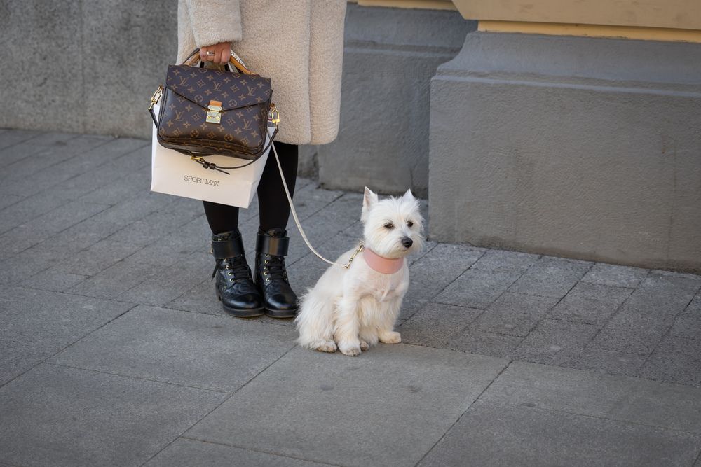 Photograph by Олег Дорошенко