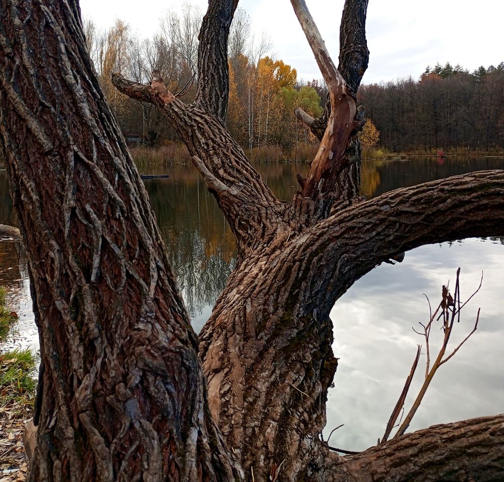 Photograph by Татьяна Кунц