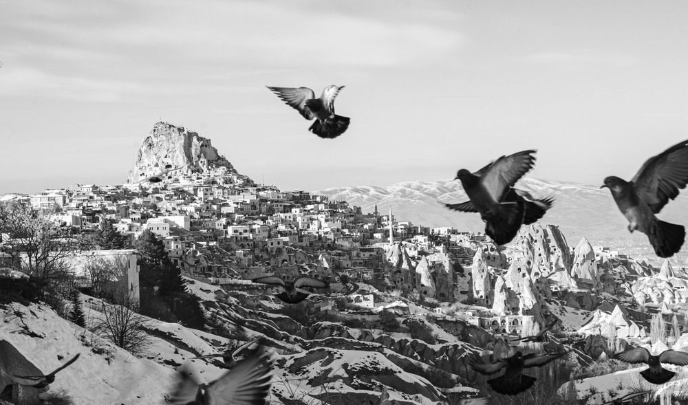 Wings Over Silent Stones