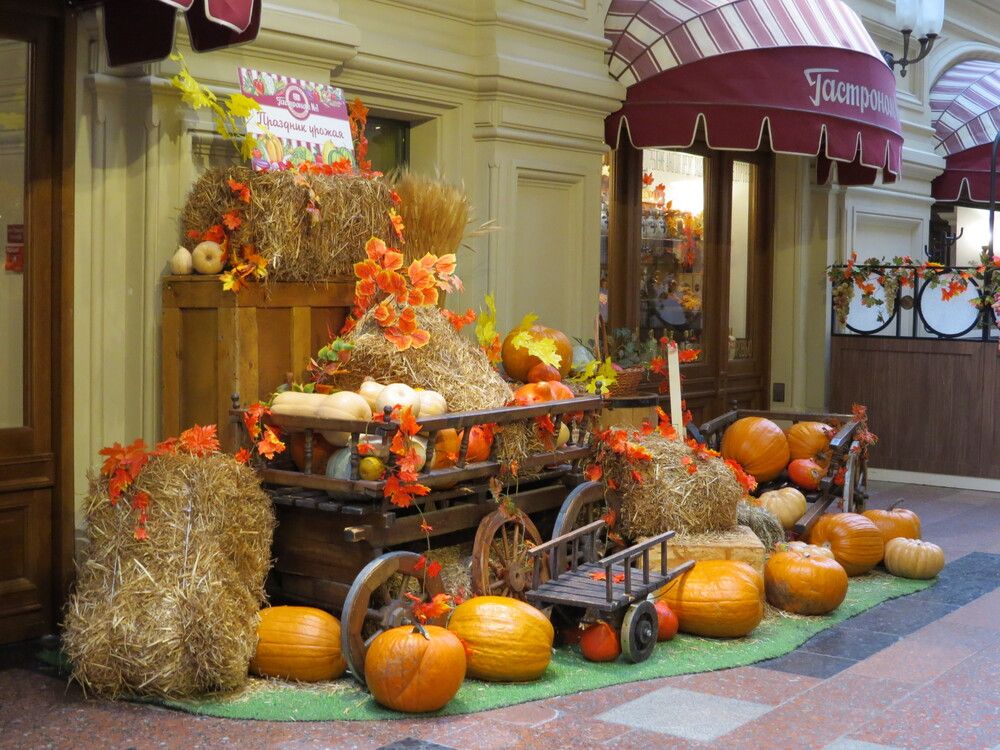 Photograph by Татьяна Стаскевич