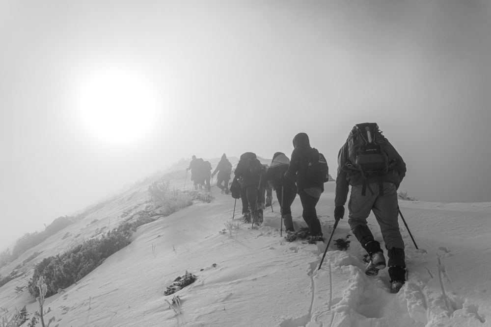 Photograph by Василий Шумкин