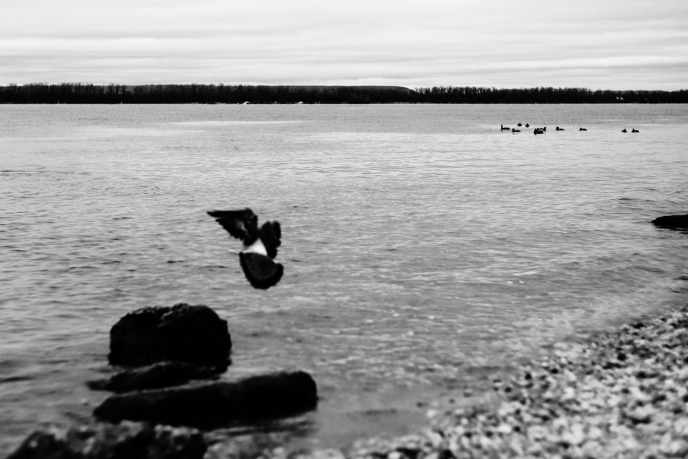 Фотография автора Дарина Фельдман