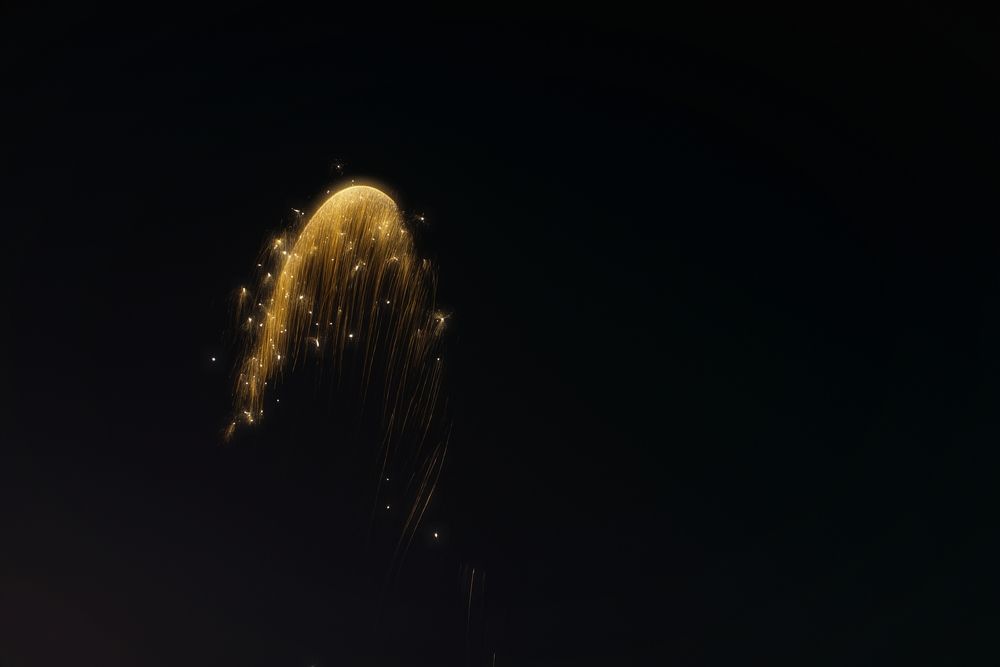 Photograph by Bragadeesh R