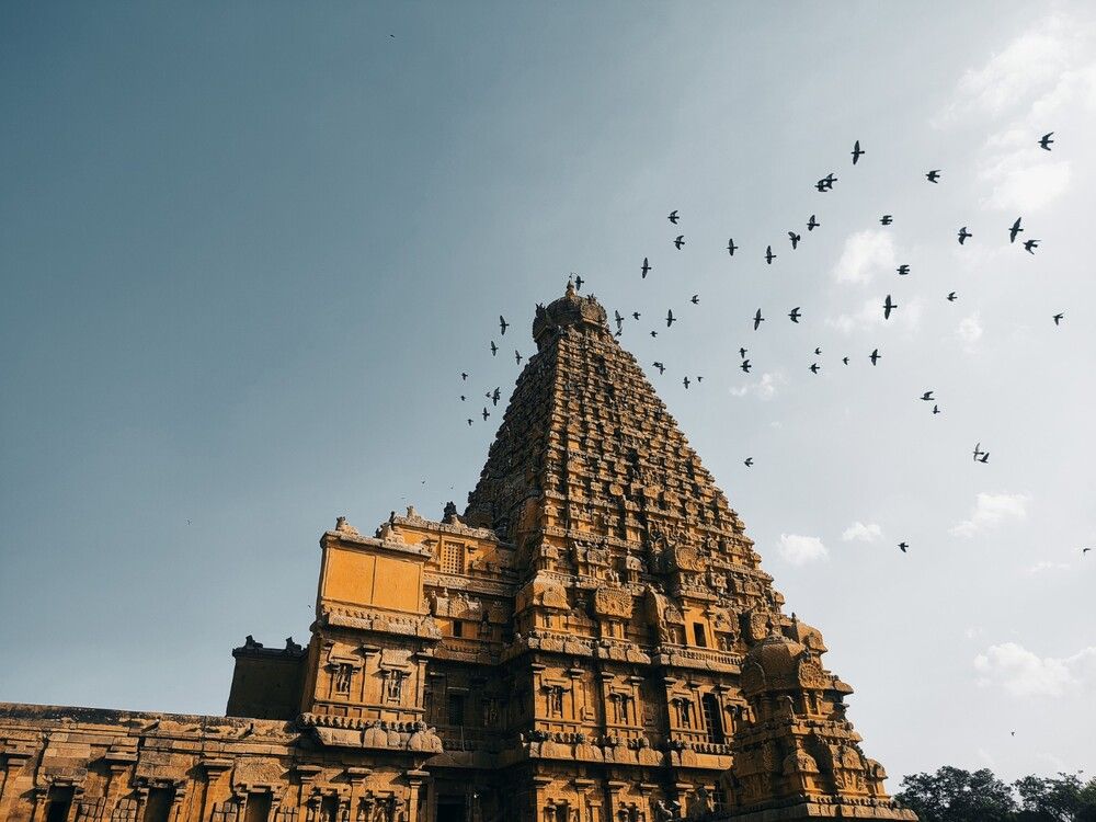 Photograph by Bragadeesh R