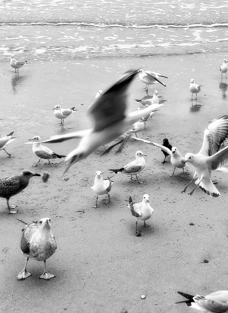 Кто успел тот и съел