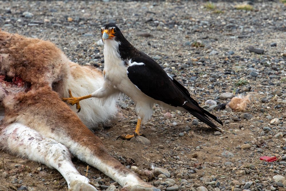 Photograph by Евгения Чех