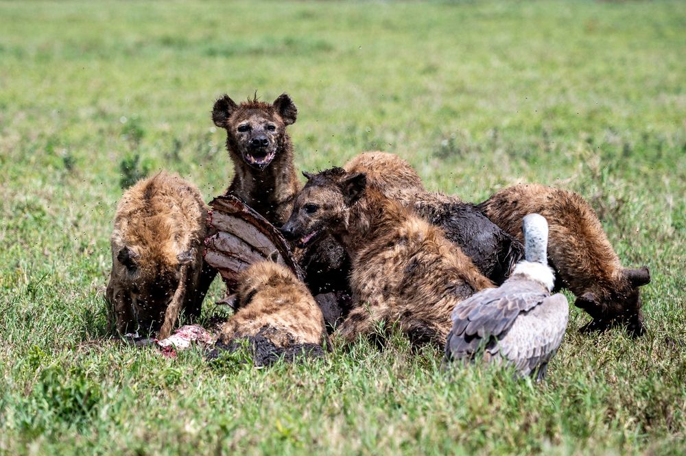 Photograph by Antonín Dudek