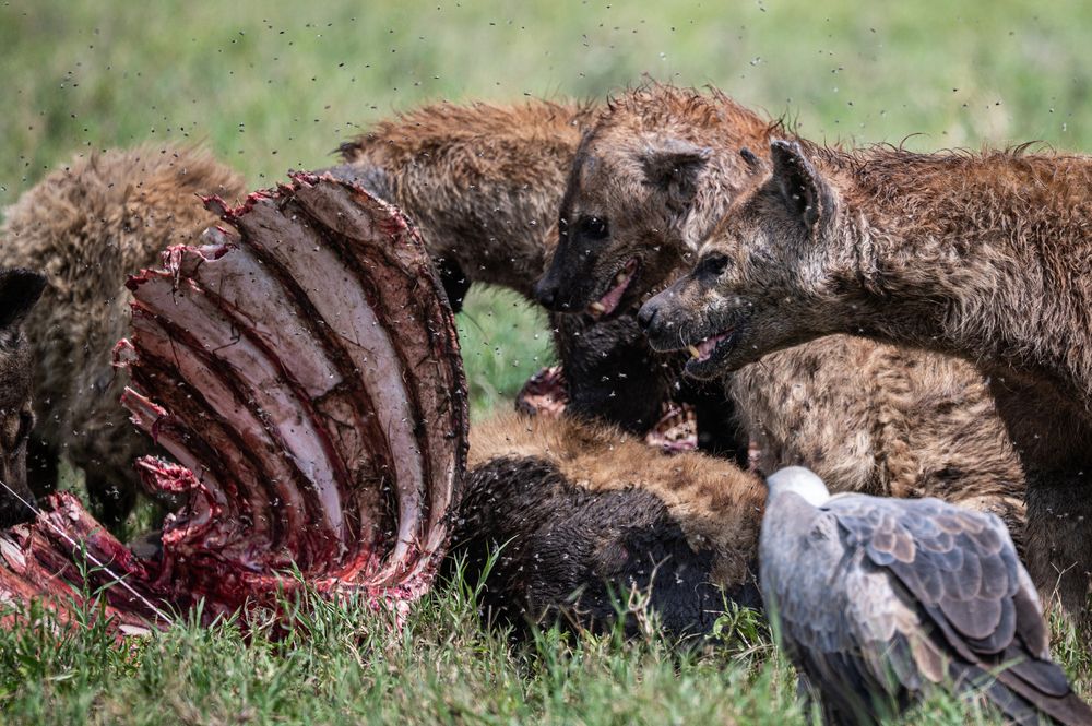 Photograph by Antonín Dudek