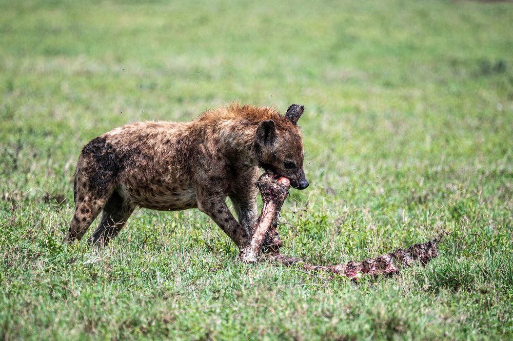 Photograph by Antonín Dudek