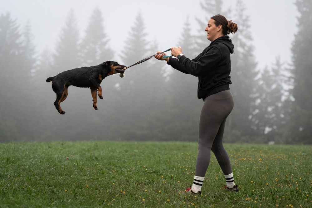 Фотография автора Krisztián Csalami