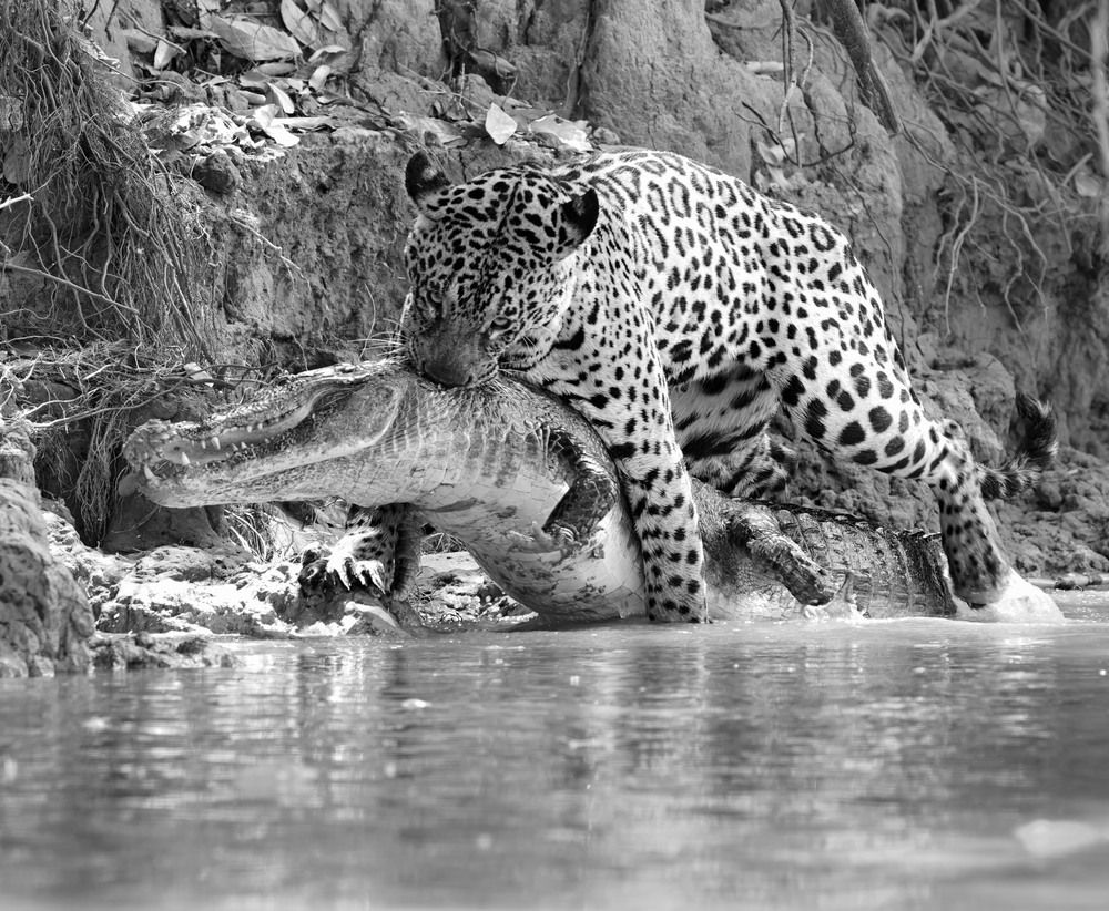 Photograph by Игорь Щербаков