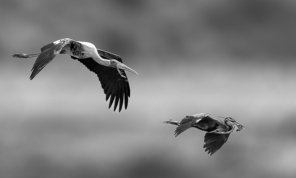 Photograph by MAYANK VERMA