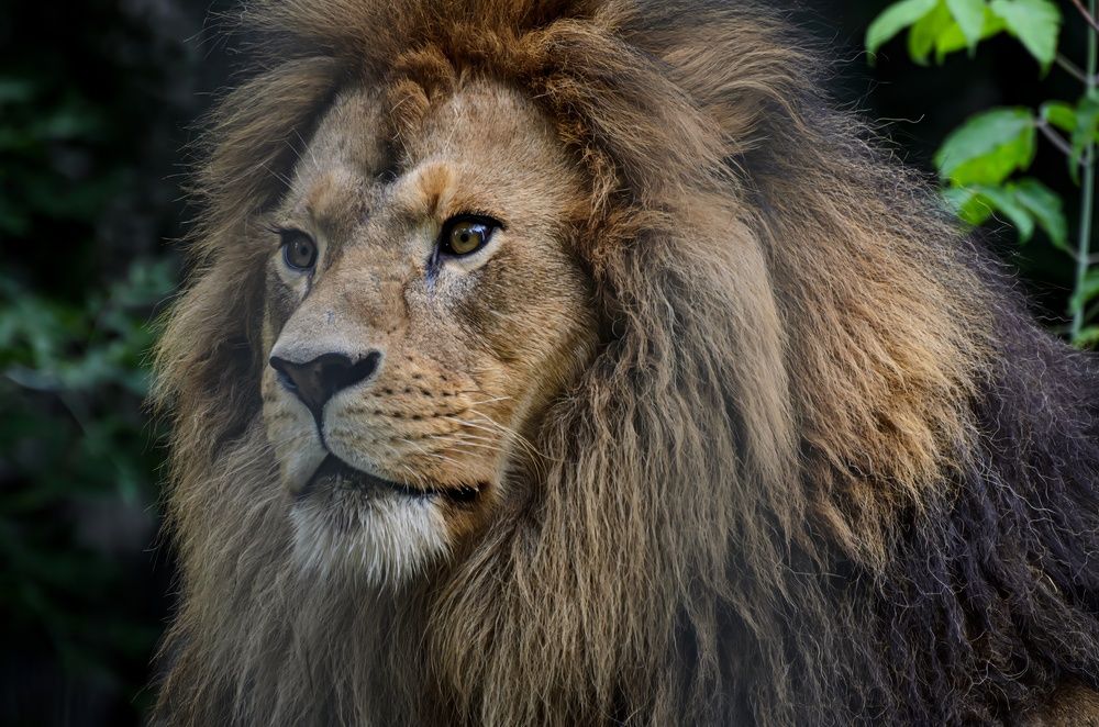 Photograph by Елена Берсенёва