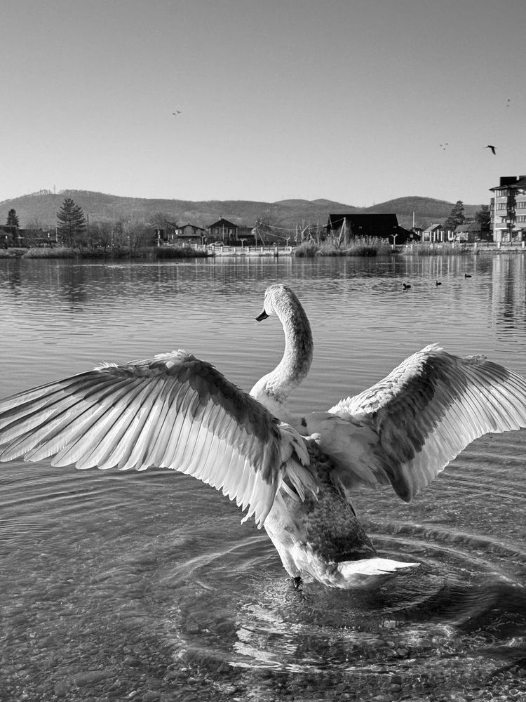 Photograph by Татьяна Семёнова