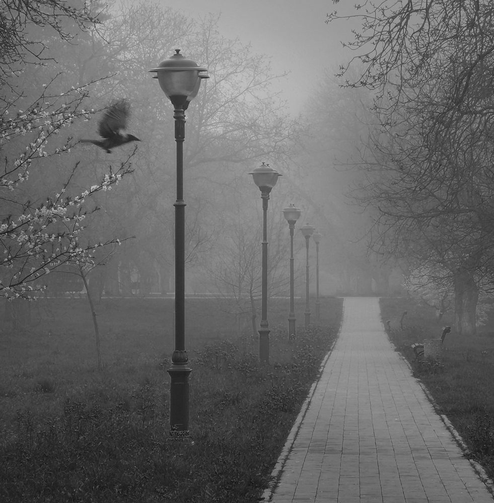 Фотография автора Шипунова Ирина