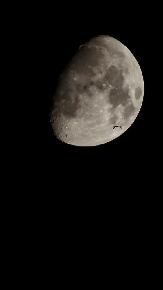 Photograph by Стас Неклюдов