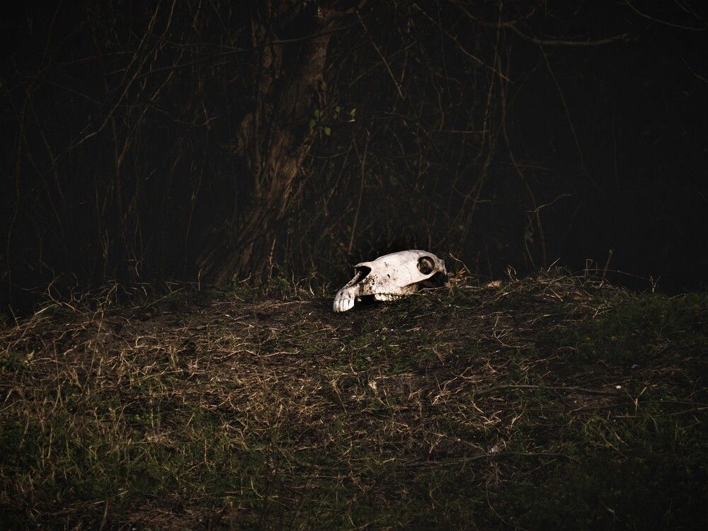 Photograph by Amin Ahani