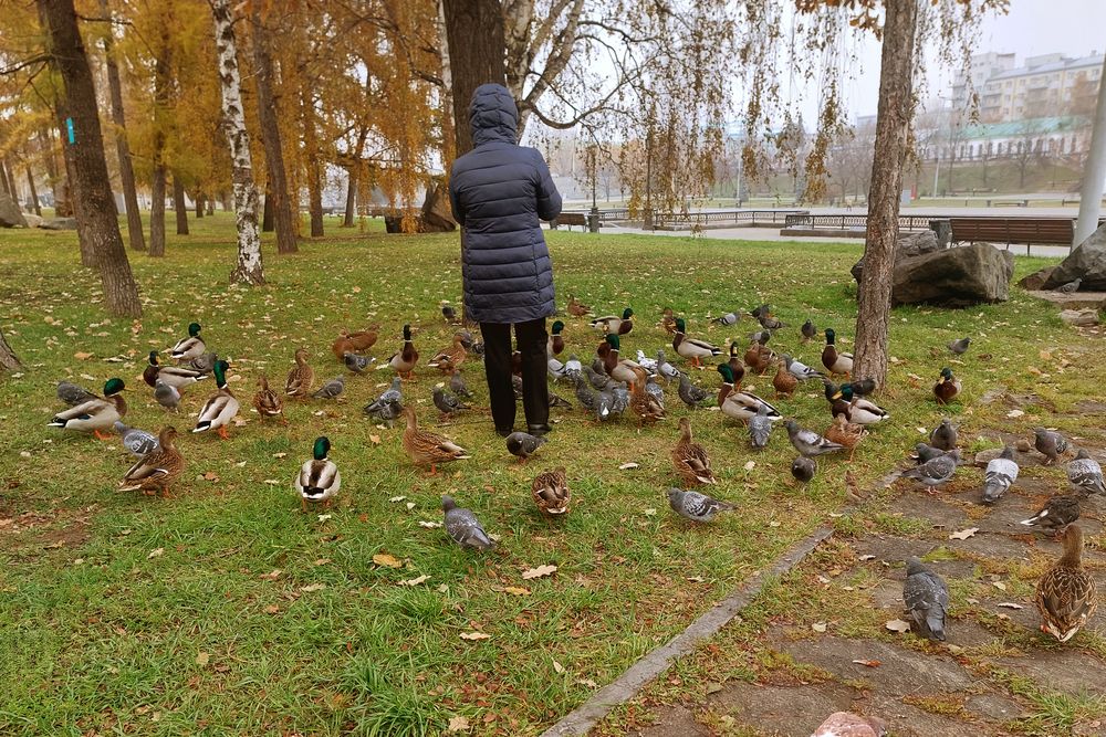 Фотография автора Михаил Бове